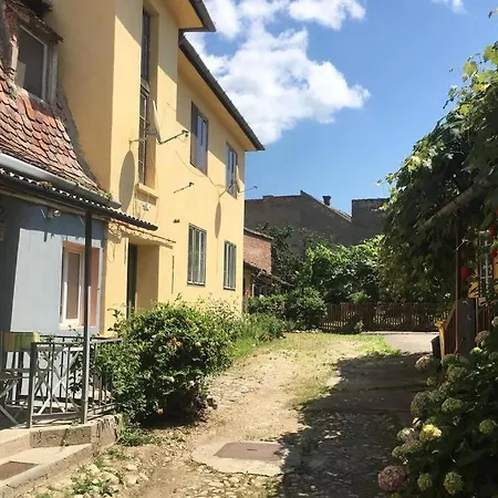 Lamp Street
